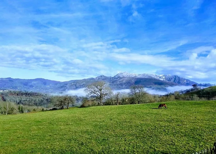 El Palacio Летний дом *